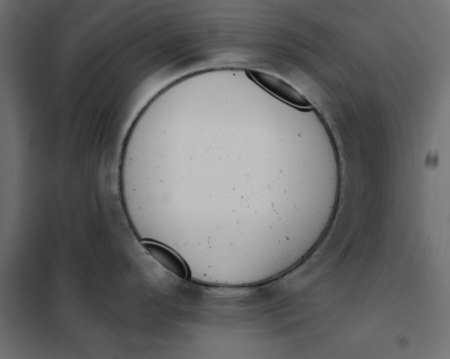 X0000102001296200808081651