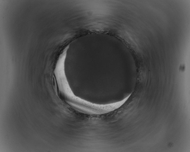 X0000102001297200808081650