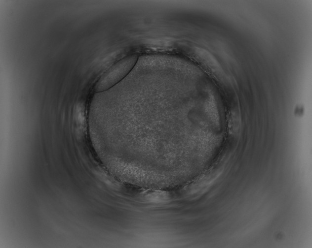 X0000102001298200808081650