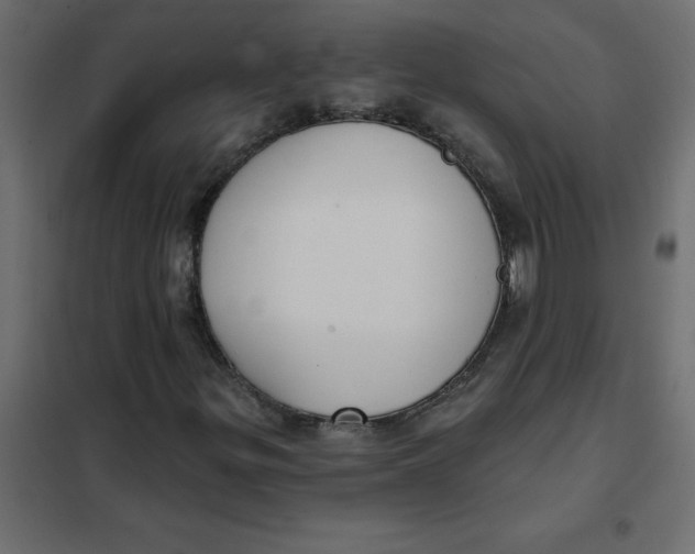 X0000102001299200808081650