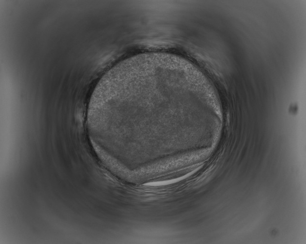 X0000102001300200808081650