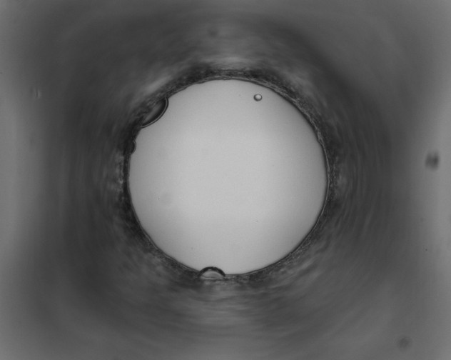 X0000102001301200808081650