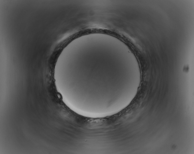 X0000102001303200808081650