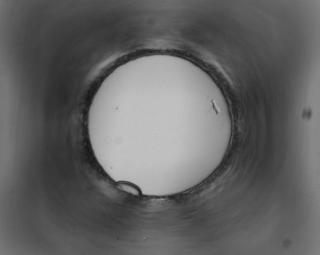 X0000102001304200808081650