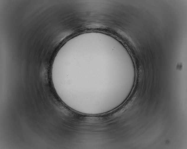 X0000102001305200808081650