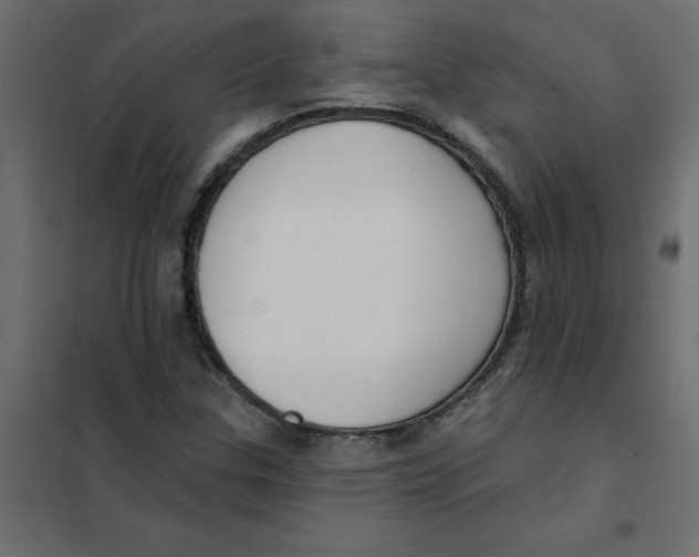 X0000102001307200808081650