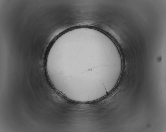 X0000102001308200808081650