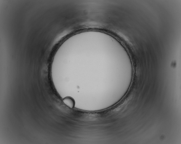 X0000102001309200808081650