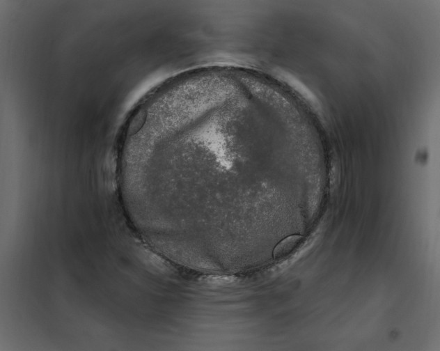 X0000102001310200808081650