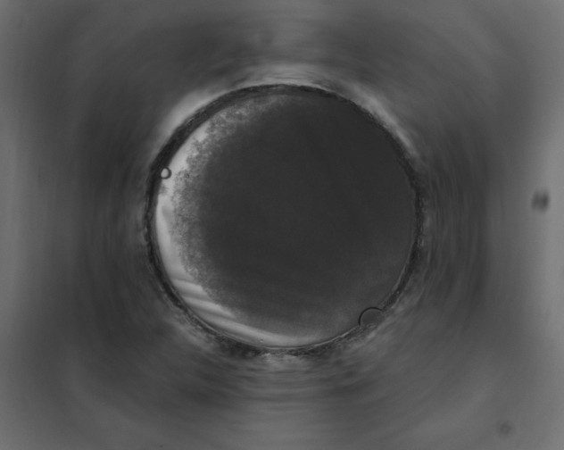 X0000102001312200808081650