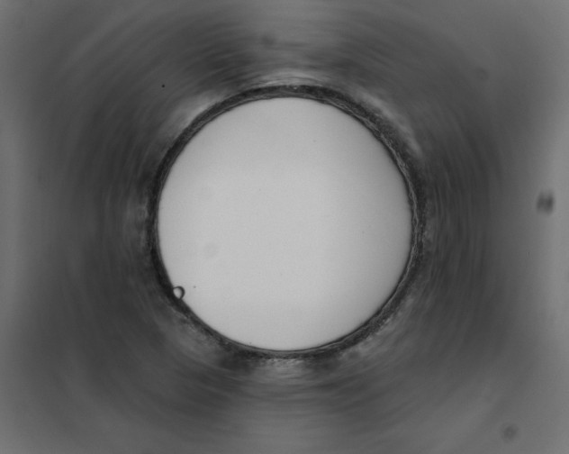 X0000102001313200808081651