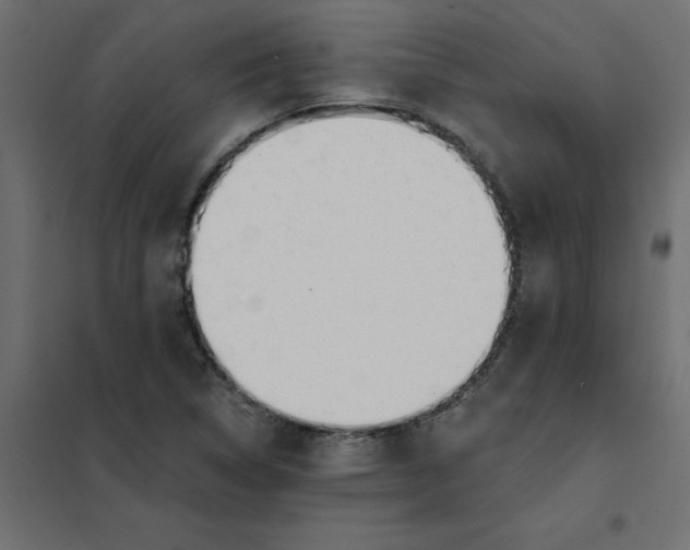 X0000102001314200808081651