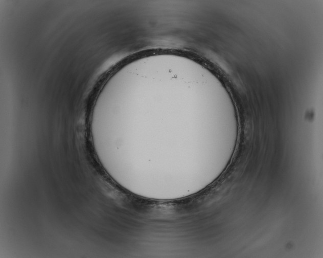 X0000102001315200808081651