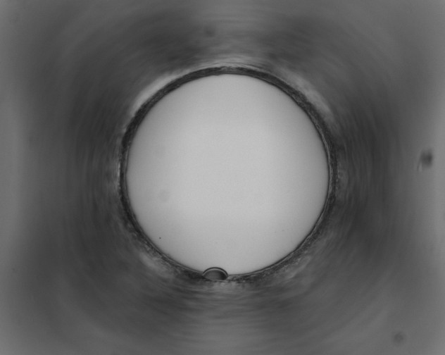 X0000102001316200808081651