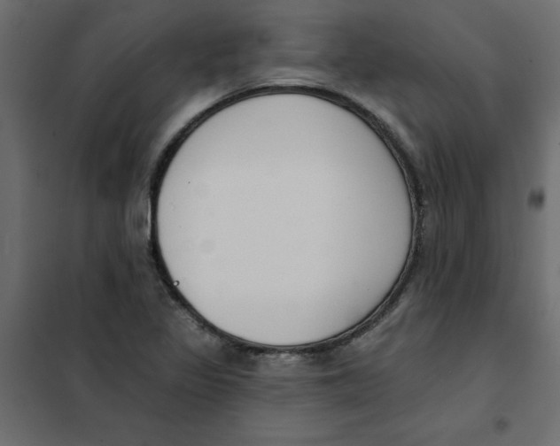 X0000102001317200808081651