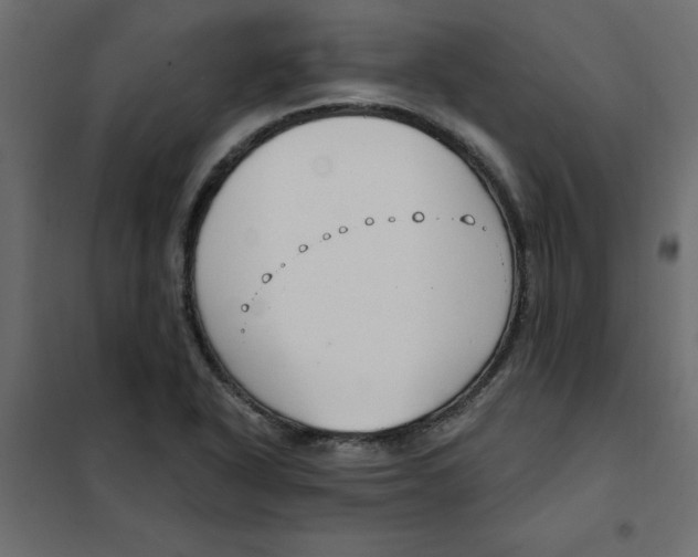 X0000102001318200808081651