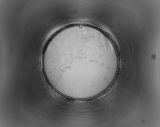 X0000102001320200808081651