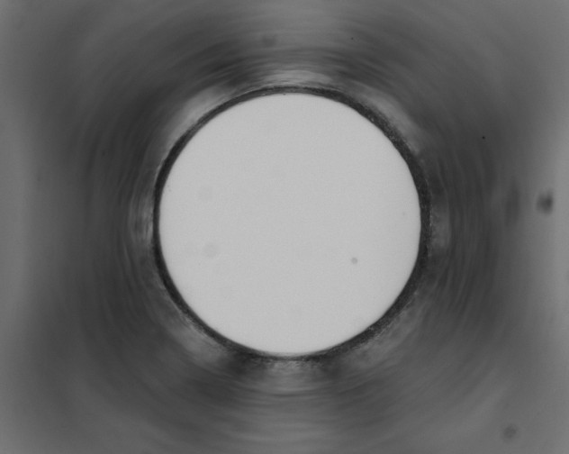 X0000102001322200808081651