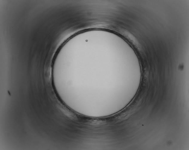 X0000102001324200808081651