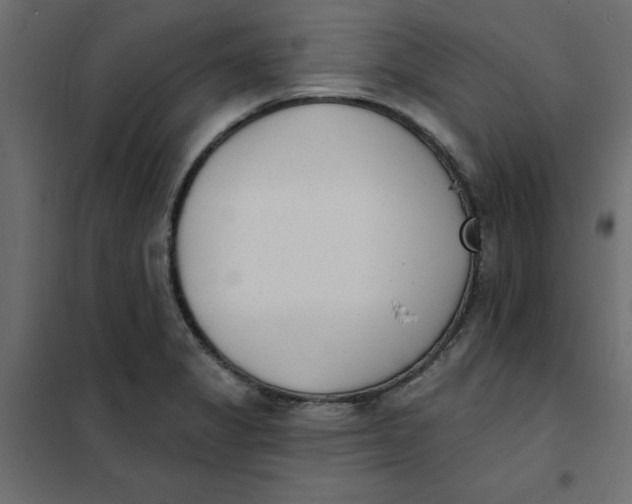 X0000102001325200808081651