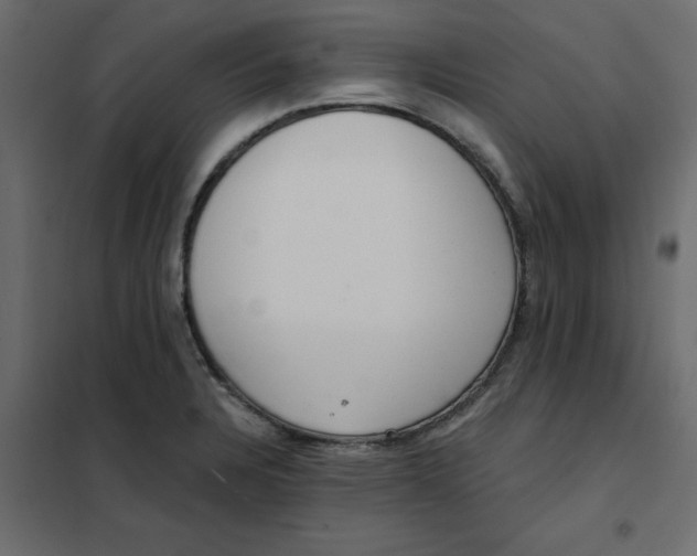 X0000102001328200808081651