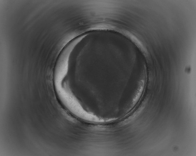 X0000102001329200808081651