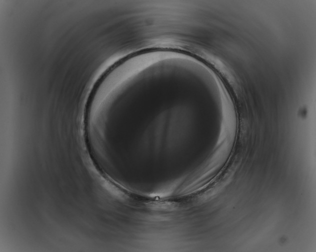 X0000102001331200808081651