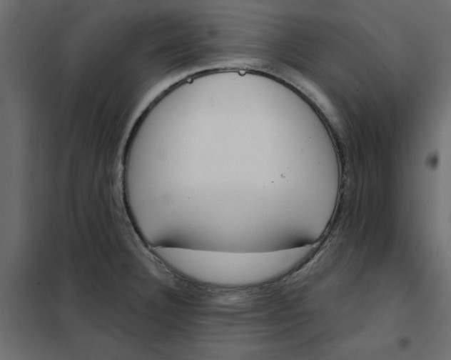 X0000102001332200808081651