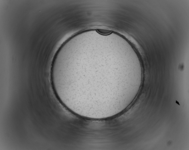 X0000102001333200808081651