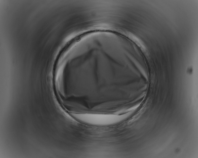 X0000102001334200808081651