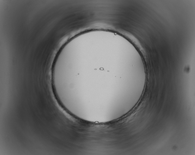 X0000102001335200808081651