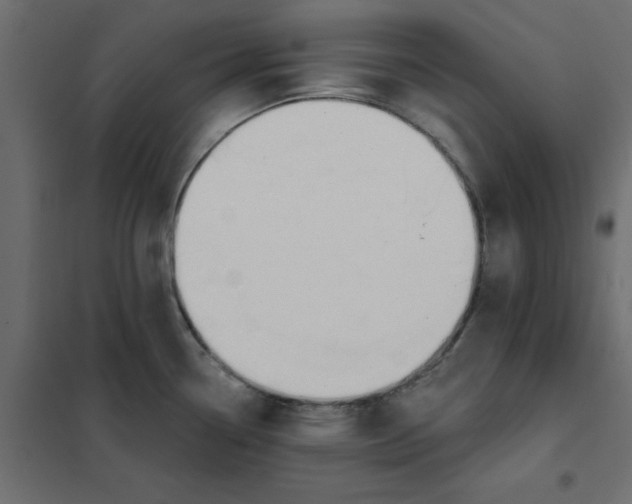 X0000102001338200808081651