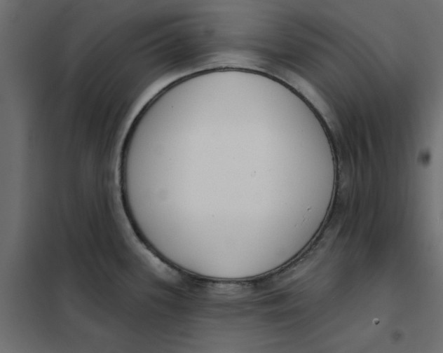 X0000102001339200808081651