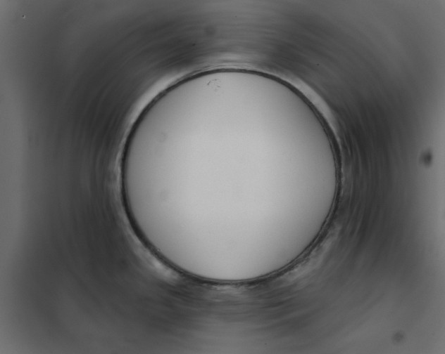 X0000102001341200808081651