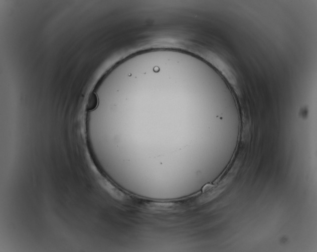 X0000102001342200808081651