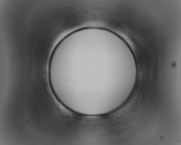 X0000102001343200808081651