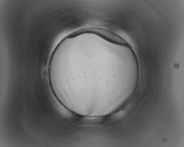 X0000102001344200808081651