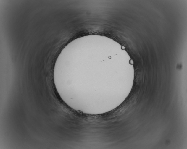 X0000102001345200808081650