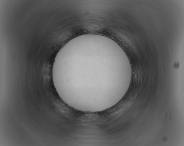 X0000102001346200808081650