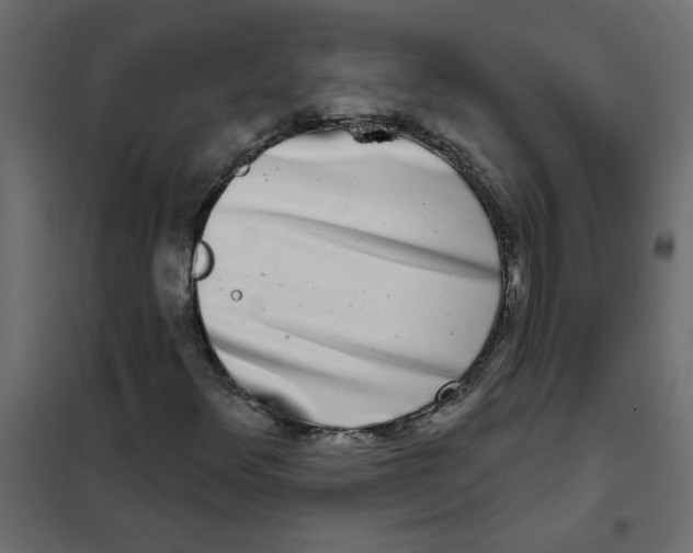 X0000102001348200808081650