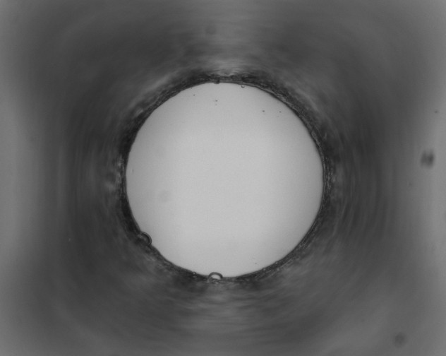 X0000102001349200808081650