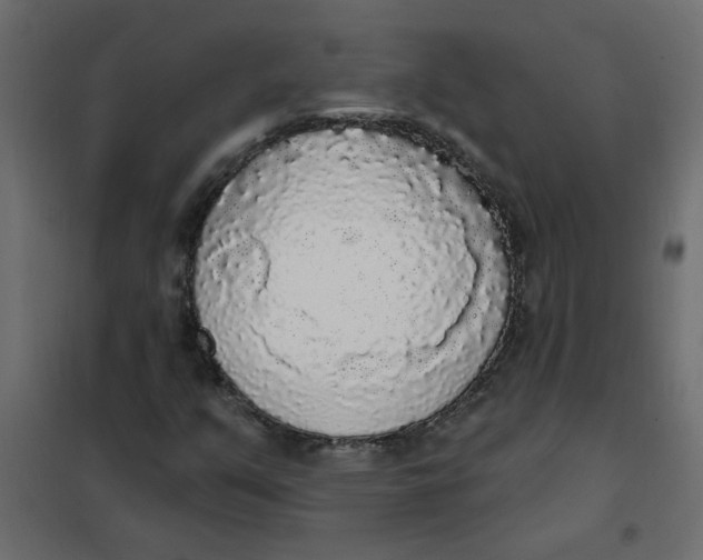 X0000102001351200808081650