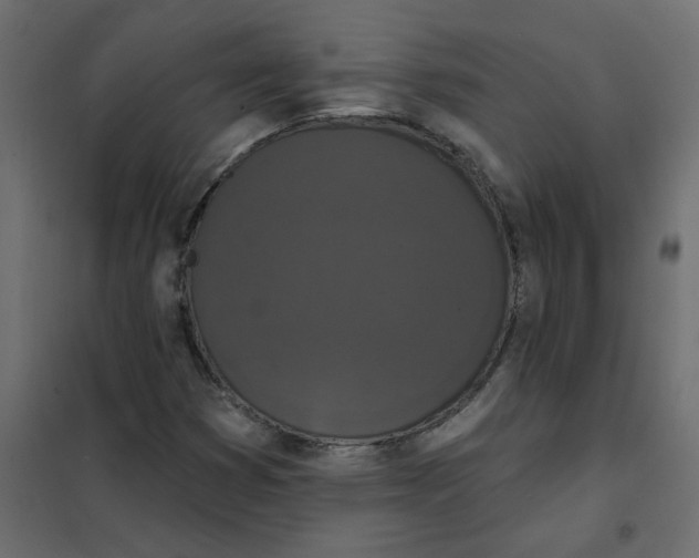 X0000102001353200808081650