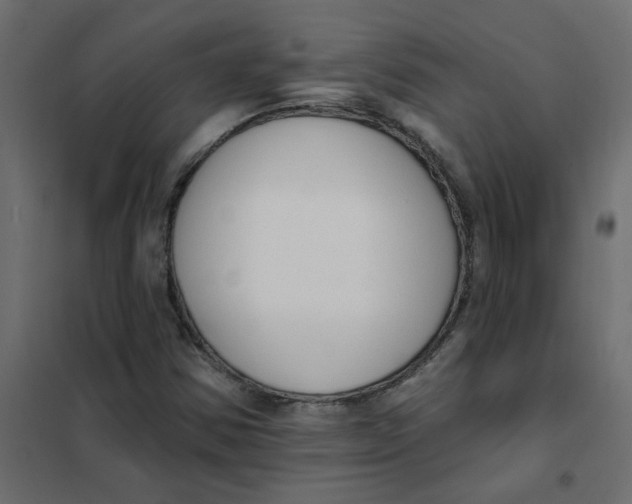 X0000102001354200808081650