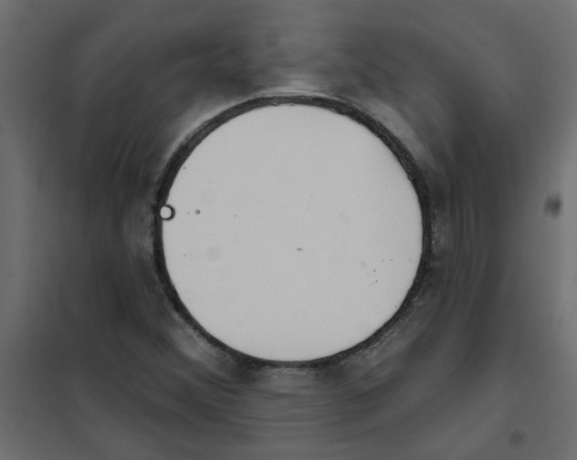 X0000102001356200808081650