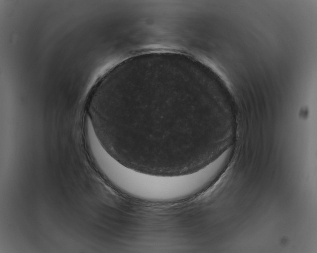 X0000102001357200808081650