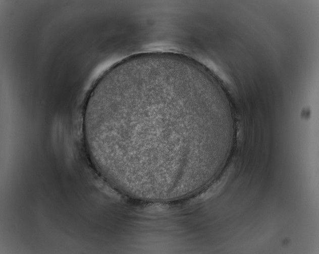 X0000102001358200808081650