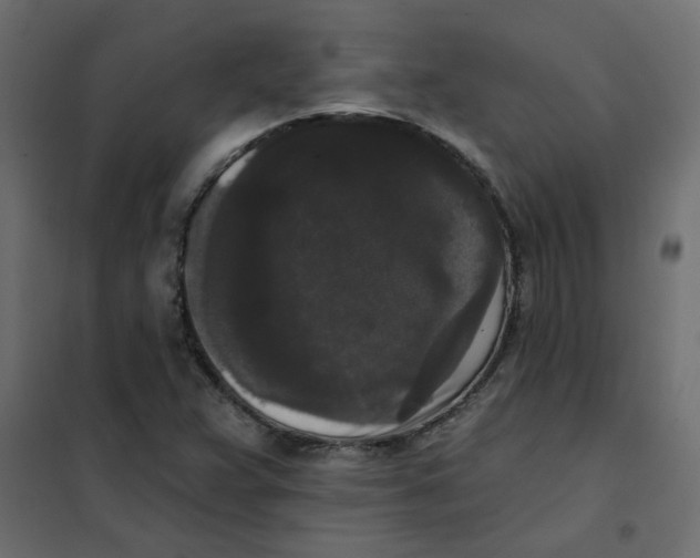 X0000102001359200808081650