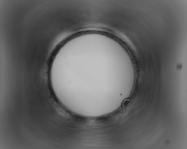 X0000102001360200808081650