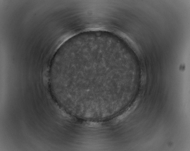 X0000102001361200808081650